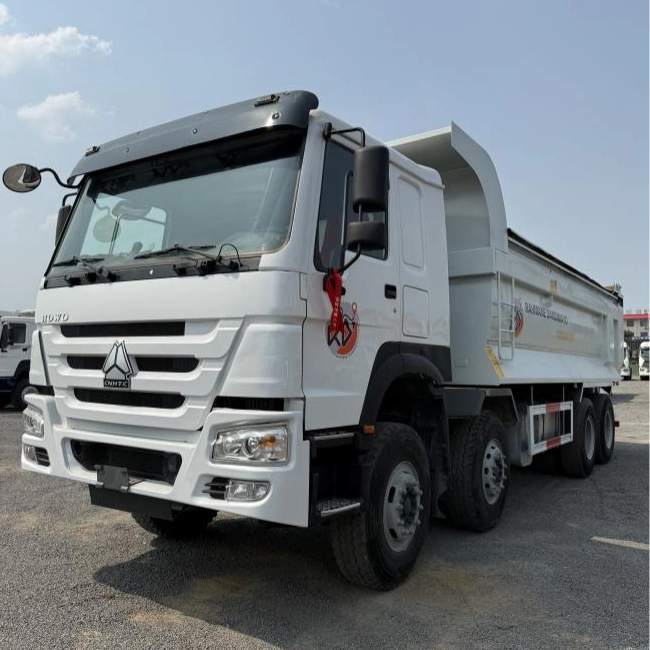 Used Howo 371 Large Pump Engine Dump Trucks